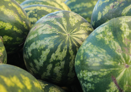 Таможенники не дали переправить в РФ партию спрятанных в арбузы наркотиков