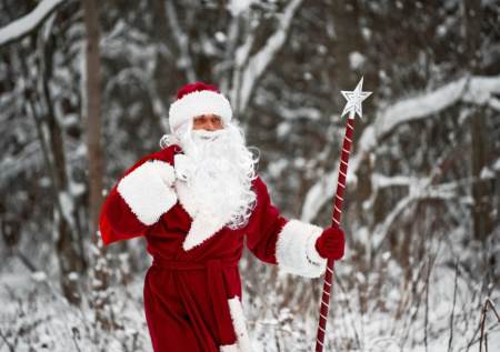 Дед Мороз прилетел в Москву