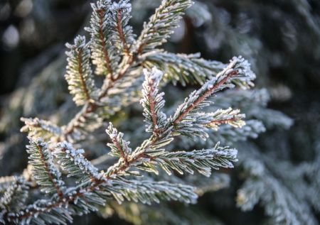 Москвичей предупредили о самой холодной ночи