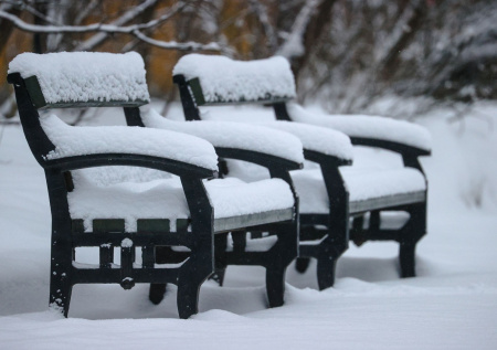 Погода в Москве в субботу, 3 января: ждать ли сильных снегопадов и ветра