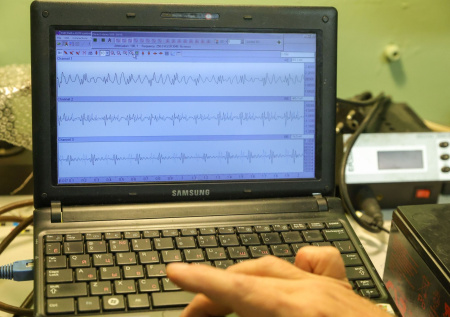Почти тысячу афтершоков зафиксировали в Мексике после землетрясения