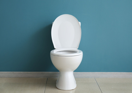 Конденсат на бачке унитаза — прощай! Рабочий лайфхак для сухого санузла