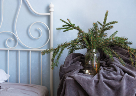 Россиянам рассказали, как продлить жизнь новогодней елке