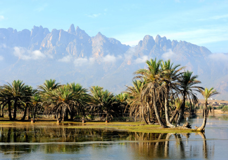 Россияне застряли на острове Сокотра в Йемене