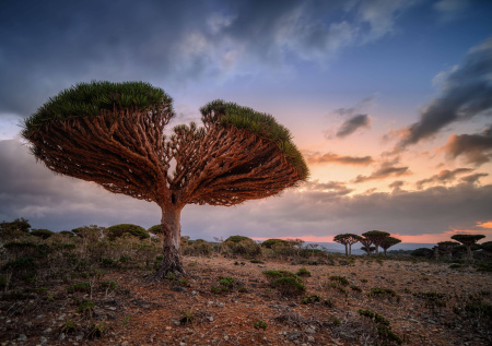 Российские туристы не могут вернуться домой с острова в Индийском океане