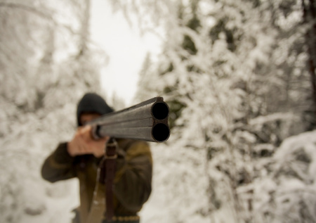 Охотник по ошибке выстрелил в автомобиль, приняв его за лося