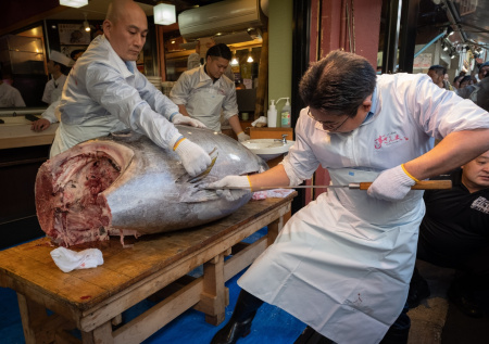 В Токио продали гигантского тунца за $3,2 млн
