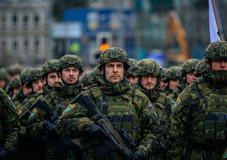 В Европе задумались об отправке войск в Гренландию из-за угроз Трампа