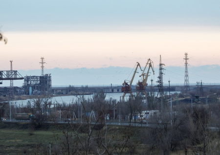 Азовское море может стать источником ценных биоресурсов