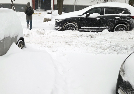 Синоптик объяснила причины рекордных снегопадов в Москве