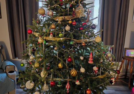 В Госдуме рассказали, что делать с новогодней елкой после праздников