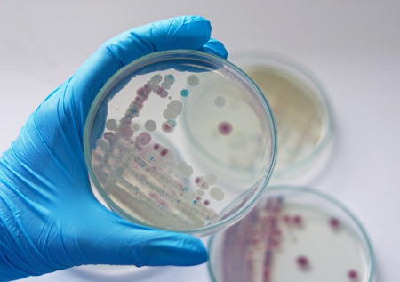 Ученые разгадали секрет вечно пьяных людей