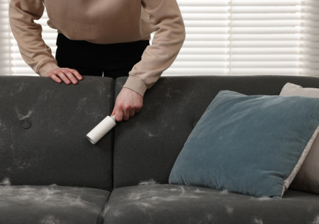 Кошачья шерсть больше не проблема: простые хитрости для идеального порядка в доме