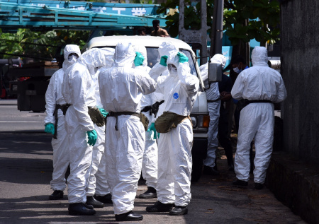 Власти прокомментировали всплеск лихорадки денге на Шри-Ланке