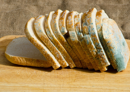 Нутрициолог предупредила о скрытой опасности продуктов с плесенью