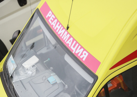 Маленькую девочку госпитализировали после нападения примата в российском ТЦ