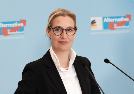 В АдГ указали на серьезный экономический кризис в Германии