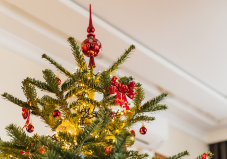 Россиян предупредили о штрафах за елочные иголки и мишуру в подъезде