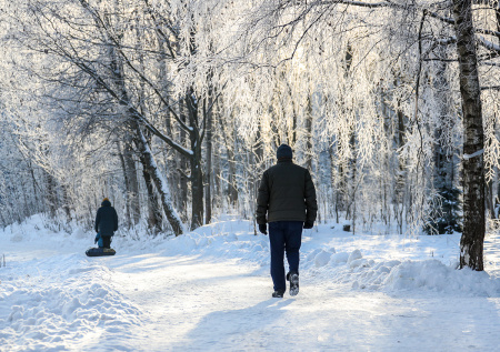Могучие ураганы и дубак до -20? Погода в Москве в начале февраля: чего ждать