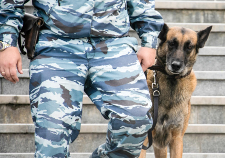 Полиция эвакуировала учеников двух школ из-за сообщений о минировании