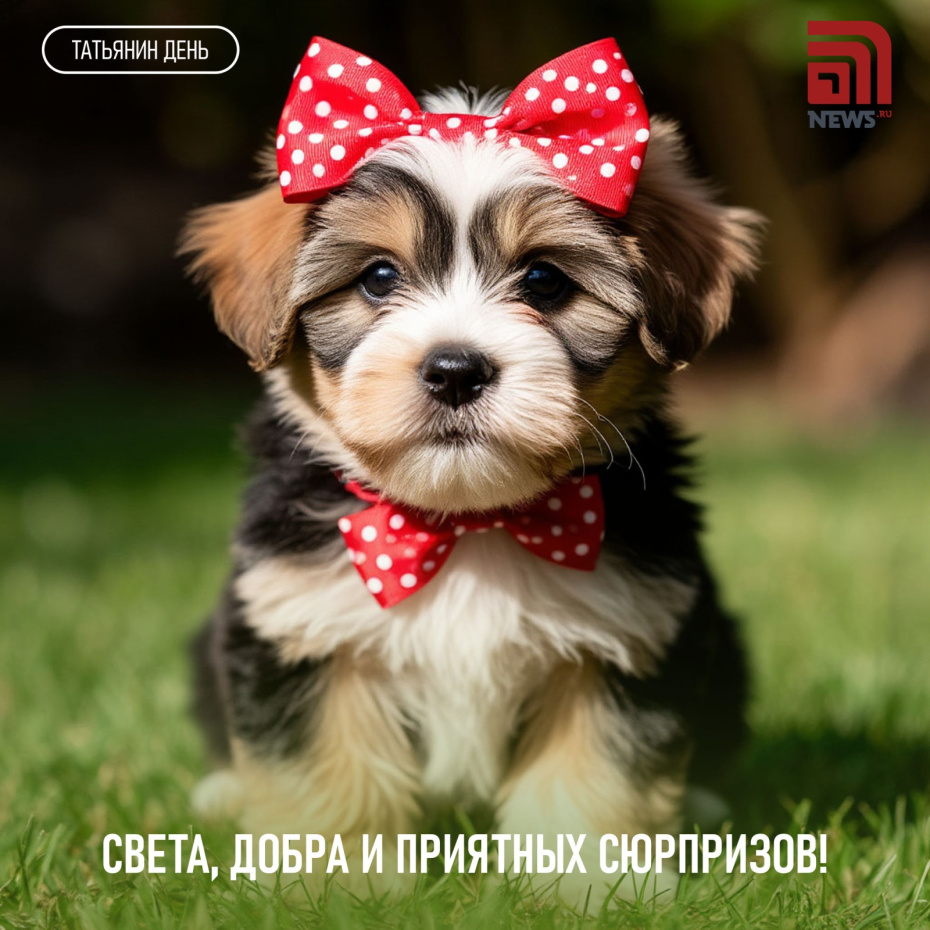 Света, добра и приятных сюрпризов!