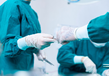 Названы главные проблемы пересадки свиных органов человеку