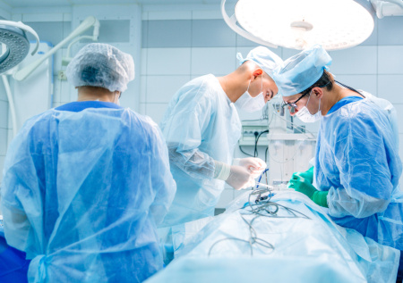 «Дети вне политики»: российские онкологи готовы помочь внукам Трампа