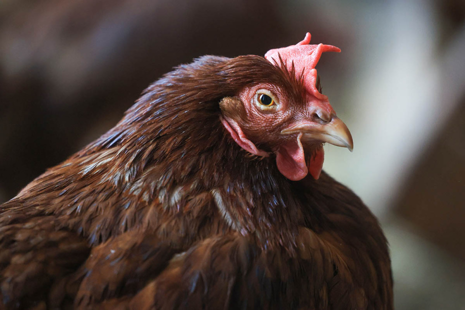 Приметы 15 января