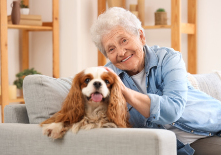 Россиянам рассказали, сколько будет стоит клон домашнего питомца