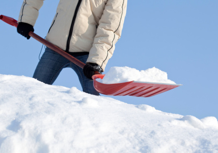 В Москве придумали новый вид шеринга с лопатами
