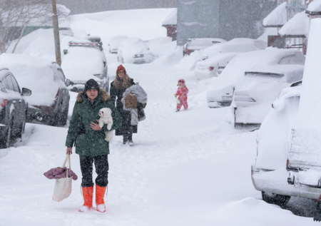 Власти Камчатки запустили систему оповещения после снежного циклона