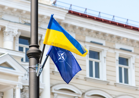 Стало известно, сколько эстонцев против вывешивания флагов Украины на улице