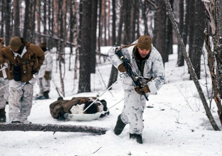 Британия решила помочь Дании в Гренландии одним военным