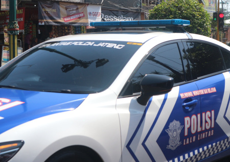 Напавшую на Бали на россиянку Фадееву модель заключили под стражу