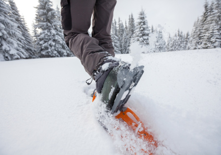 Трое немцев сходили из Финляндии в Россию и обратно на снегоступах
