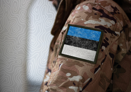 В Эстонии высказались насчет отправки военных на учения в Гренландию