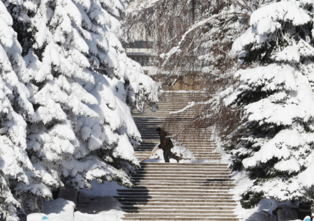 Синоптик раскрыла, где на следующей неделе будет плюсовая температура