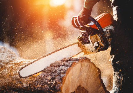 Россиянина будут судить за угрозы полиции арбалетом, бензопилой и топором