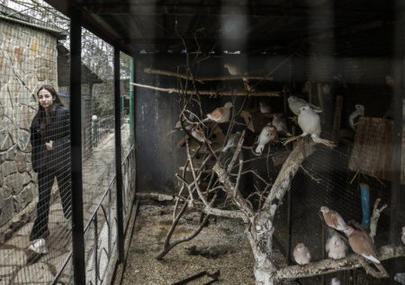 В Ленинградский зоопарк перевезли двух редких экзотических птиц