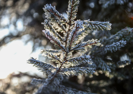 Гидрометцентр предупредил о морозах до -40 градусов в крещенскую ночь