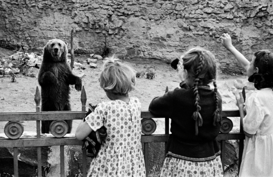 Дети у вольера с бурым медведем. 1944 год