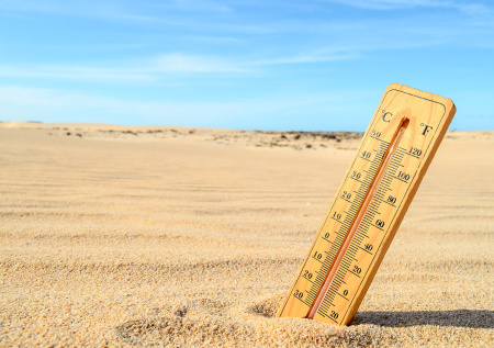 Россиянам дали прогноз по средней температуре на ближайшие полвека