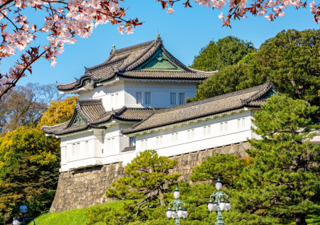 Назван один из самых строгих запретов в Японии