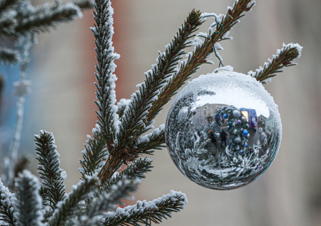 Жители Киева начали сжигать новогодние елки, чтобы согреться