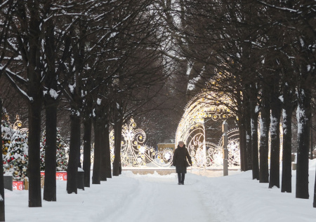 Синоптик рассказал о погоде в Москве на Крещение