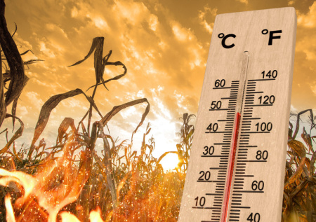 Климатолог раскрыл главный «двигатель» глобального потепления