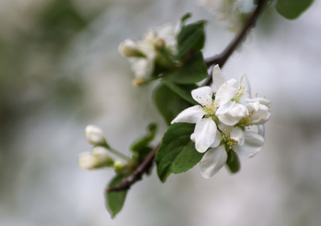 Названа дата начала астрономической весны