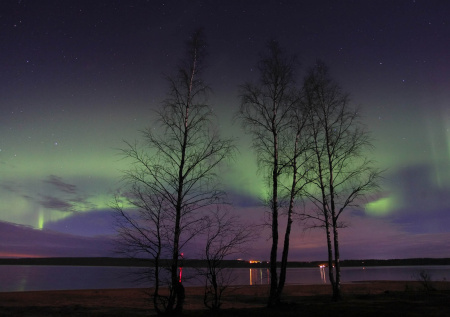 Россиянам пообещали сильные полярные сияния