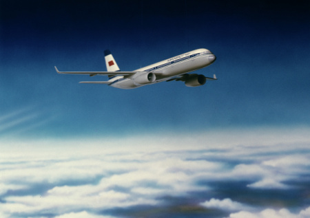 В России начнут летать законсервированные самолеты