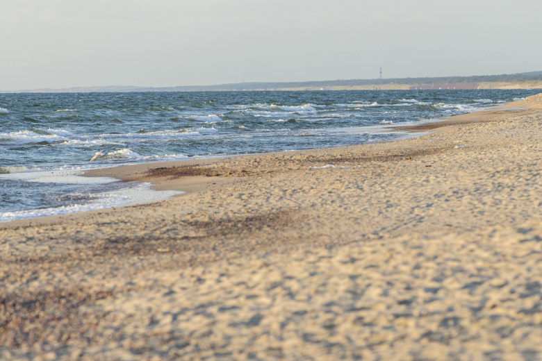 Куршская коса